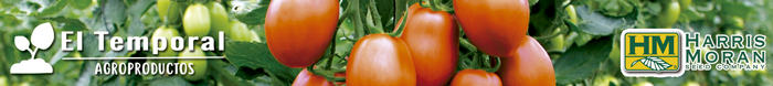 semillas harris moran mexicana, catalogo de semillas harris moran
