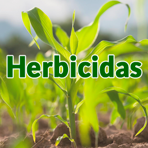 herbicidas selectivos, herbicidas sistemicos, herbicidas para hoja ancha y angosta, herbicidas bayer, aplicacion de herbicidas