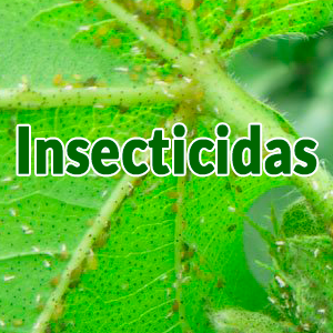insecticidas agricolas, insecticidas organicos, manejo de insecticidas